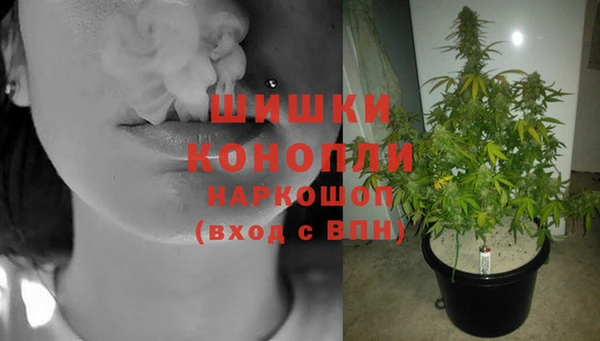ГАЛЛЮЦИНОГЕННЫЕ ГРИБЫ Лабытнанги