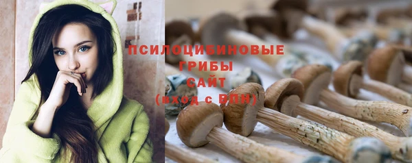 ГАЛЛЮЦИНОГЕННЫЕ ГРИБЫ Лабытнанги