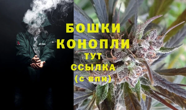 ГАЛЛЮЦИНОГЕННЫЕ ГРИБЫ Лабытнанги