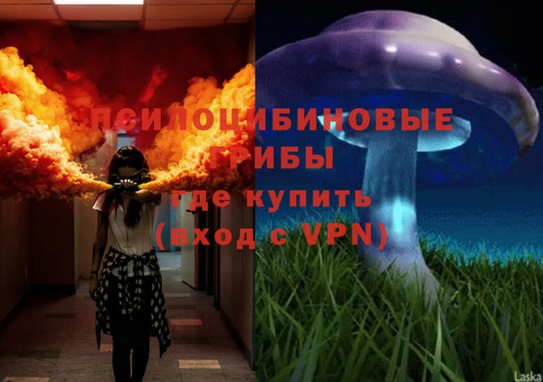 гашик Лагань