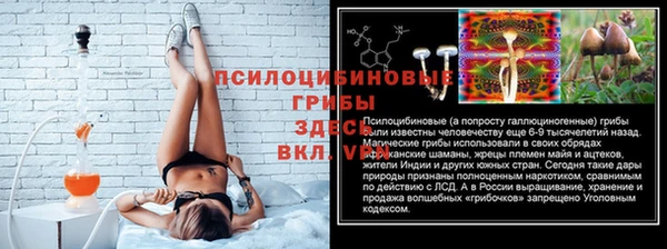 ГАЛЛЮЦИНОГЕННЫЕ ГРИБЫ Лабытнанги