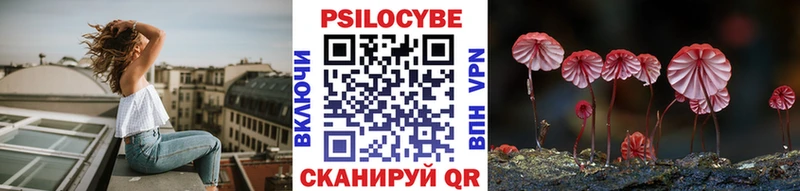 Купить закладки Лакинск Псилоцибиновые грибы Psilocybine cubensis